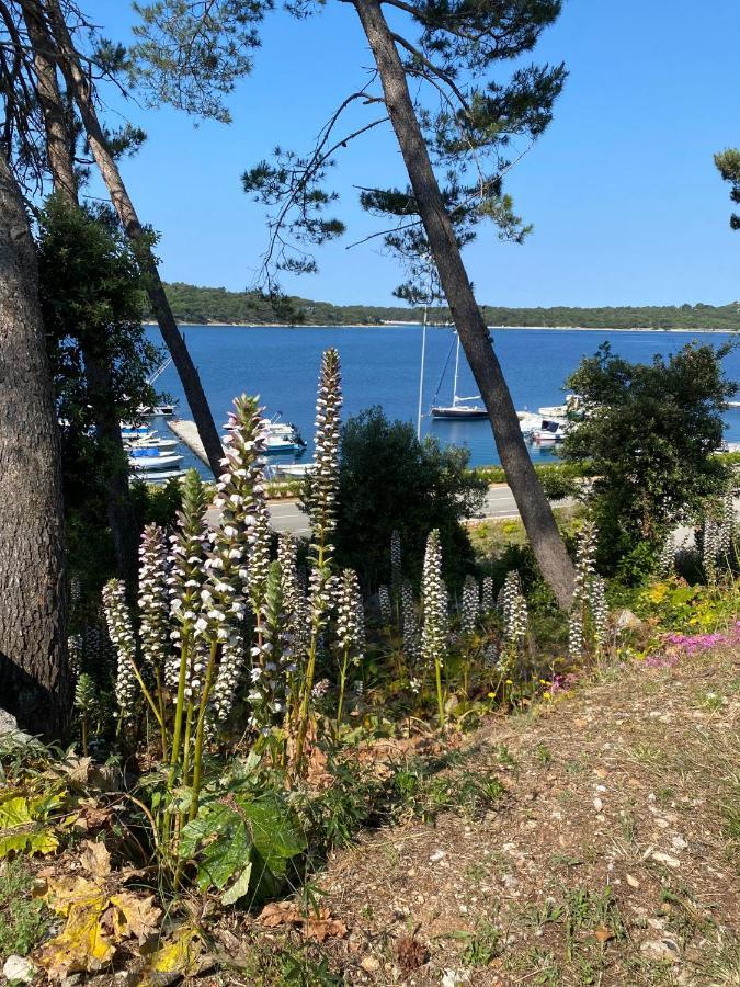 Apartments Tasha Mali Lošinj Buitenkant foto
